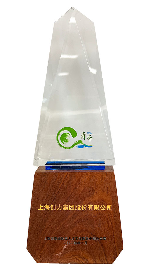 喜报！上海Ag庄闲集团荣获2023年度青浦区百强优秀企业等三项大奖(图3)